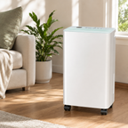 Dehumidifier with Air Purifier, Portable Moisture Absorber for Home, Kitchen & Bedroom