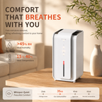 Negative Ion Dehumidifier, Home Air Dryer with Ioniser for Bedroom & Living Room
