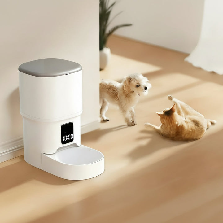 Smart Automatic Cat Feeder with App Control