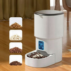 Smart Automatic Cat Feeder with App Control