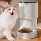 Smart Automatic Cat Feeder with App Control