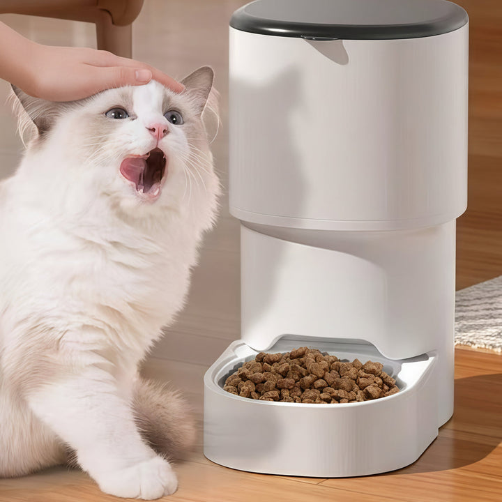 Smart Automatic Cat Feeder with App Control