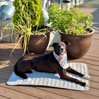 Cooling Mat for Dogs Pet Cooling Pad Square Mat for Dogs
