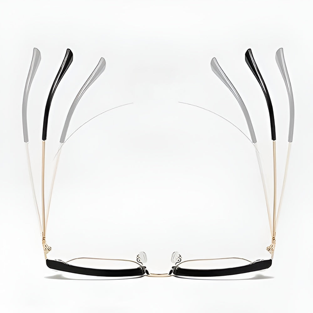 Portable Digital Electronic Reading Device