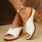 Women Thick Heel Sandals Summer Footwear Open Toe Shoes