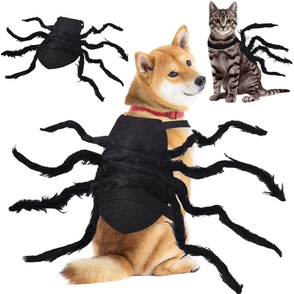 Dog Spider Costume with Adjustable Straps Halloween Pet