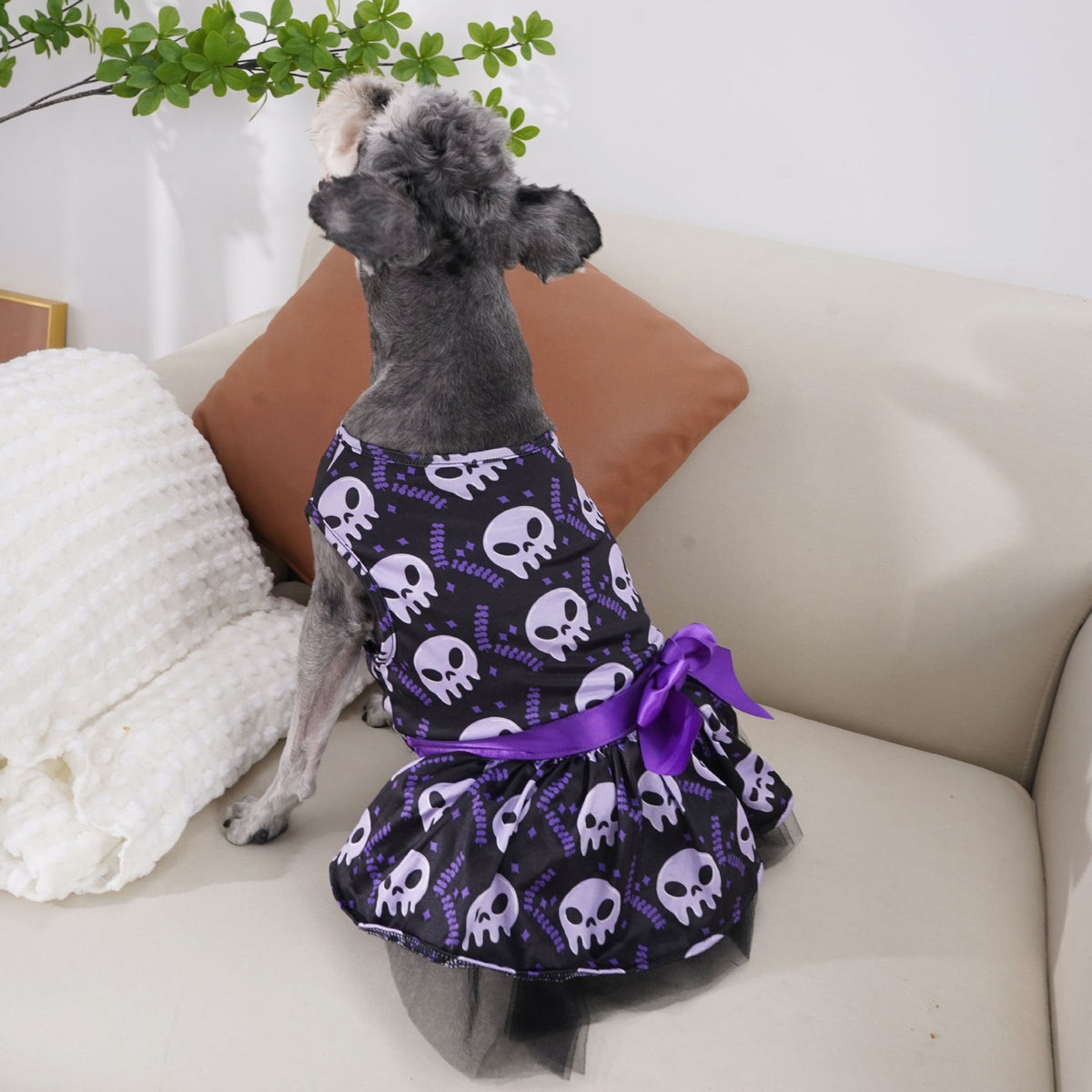 Dog Costume Dress with Tutu Skirt and Satin Bow Halloween Pet Apparel