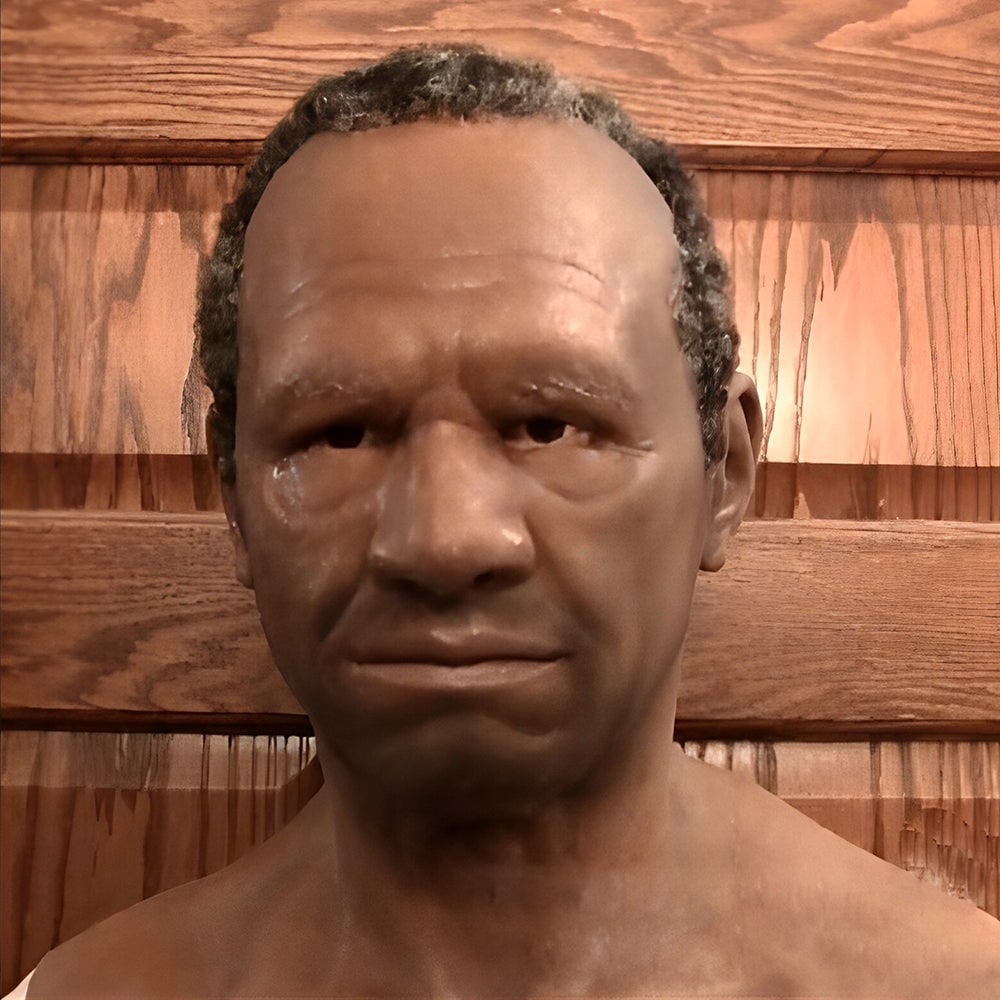 Mens Realistic Silicone Old Man Mask Facial Hair Chest Bib Halloween